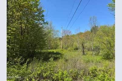 298 Maple Grove Road, Starrucca, PA 18462 - Photo 11