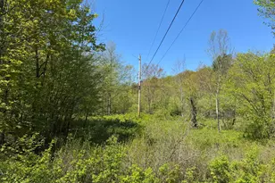 298 Maple Grove Rd, Starrucca, PA 18462 - Photo 11