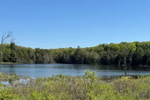 298 Maple Grove Rd, Starrucca, PA 18462 - Photo 17