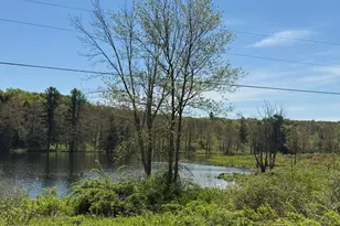 298 Maple Grove Rd, Starrucca, PA 18462 - Photo 19