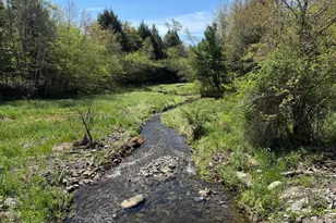 298 Maple Grove Rd, Starrucca, PA 18462 - Photo 9