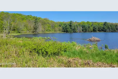 298 Maple Grove Road, Starrucca, PA 18462 - Photo 13