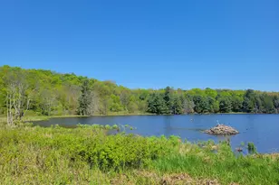 298 Maple Grove Rd, Starrucca, PA 18462 - Photo 13