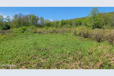 298 Maple Grove Road, Starrucca, PA 18462 - Photo 15