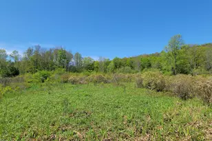 298 Maple Grove Rd, Starrucca, PA 18462 - Photo 15