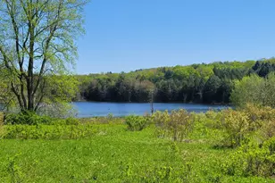 298 Maple Grove Rd, Starrucca, PA 18462 - Photo 7