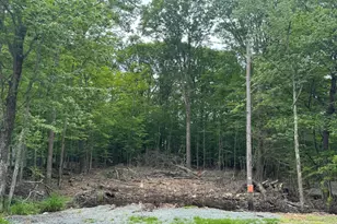 19 Cherokee Ct, Lake Ariel, PA 18436 - Photo 7