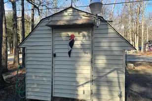 308 Shohola Pkwy S, Shohola, PA 18458 - Photo 5