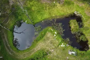 133 Tunnel Rd, Milford, PA 18337 - Photo 9