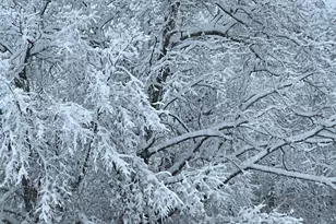 17 Cricket Hill Rd, Hawley, PA 18428 - Photo 97