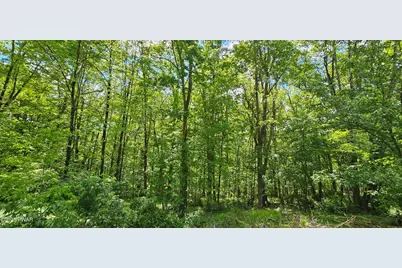 7599 St Rt 97, Narrowsburg, NY, NY 12764 - Photo 33