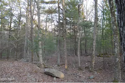 174 Neil Thompson Road, Lackawaxen, PA 18435 - Photo 35