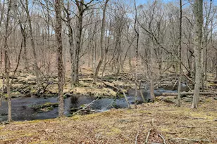 119 Aspen Dr, Milford, PA 18337 - Photo 37