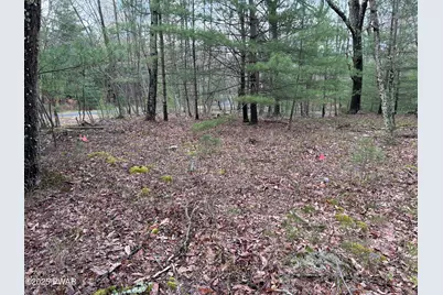 Lot 129 Pitch Pine Road, Dingmans Ferry, PA 18328 - Photo 9