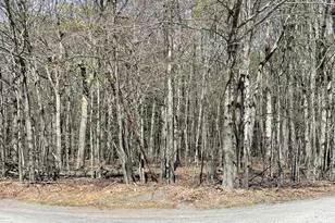 1901-1902 Horizon Dr, Greentown, PA 18426 - Photo 1