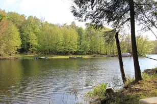 113 Fawnwood Dr, Greentown, PA 18426 - Photo 39