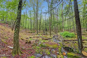 808 Pioneer Ct, Lackawaxen, PA 18435 - Photo 65