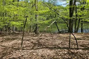 146 Cove Point Cir, Lakeville, PA 18438 - Photo 99