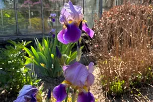 105 Grimms Rd, Honesdale, PA 18431 - Photo 105