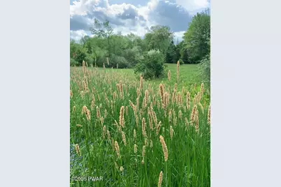 105 Grimms Road, Honesdale, PA 18431 - Photo 71