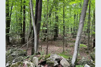 Lot 770 Fawn Road, Hawley, PA 18428 - Photo 5