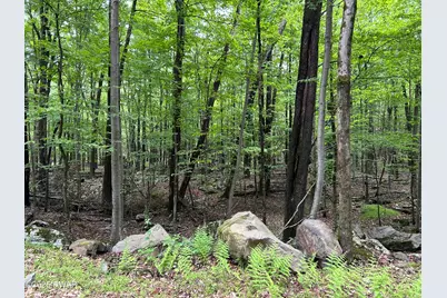 Lot 770 Fawn Road, Hawley, PA 18428 - Photo 9