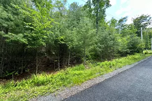 Lot 46 Sec 6 Woodland Dr, Dingmans Ferry, PA 18328 - Photo 1