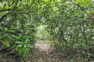 193 Old Rte 402, Dingmans Ferry, PA 18328 - Photo 37