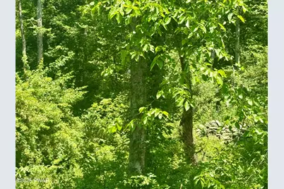 Owego Turnpike (Lot B), Honesdale, PA 18431 - Photo 5