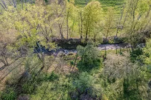 2051 Belmont Turnpike, Union Dale, PA 18470 - Photo 65