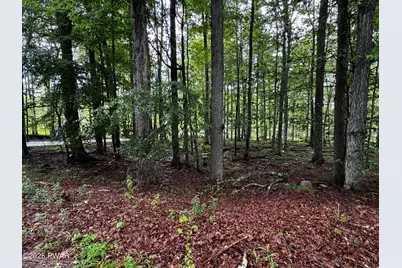 101 Elm Lane, Greentown, PA 18426 - Photo 3