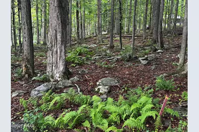 101 Elm Lane, Greentown, PA 18426 - Photo 7