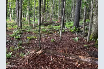 103 Elm Lane, Greentown, PA 18426 - Photo 3