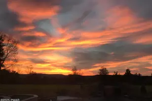 259 Ayoub Rd, Pleasant Mount, PA 18453 - Photo 91