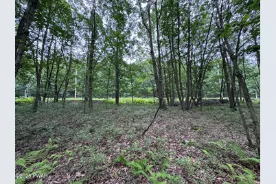 244 Elderberry Lane, Hazleton, PA 18202 - Photo 3