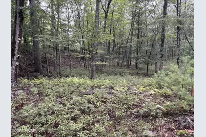 Lot 785 Jack Pine Drive, Dingmans Ferry, PA 18328 - Photo 5