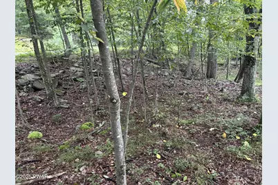 Lot 785 Jack Pine Drive, Dingmans Ferry, PA 18328 - Photo 9