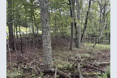 Lot 785 Jack Pine Drive, Dingmans Ferry, PA 18328 - Photo 11