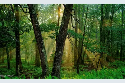 106 Lillypad Lane, Hawley, PA 18428 - Photo 1