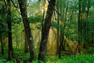 106 Lillypad Ln, Hawley, PA 18428 - Photo 1