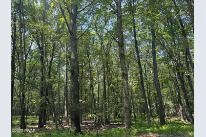 106 Lillypad Lane, Hawley, PA 18428 - Photo 3