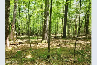 Lot 46 - Creek Lane, Dingmans Ferry, PA 18328 - Photo 3