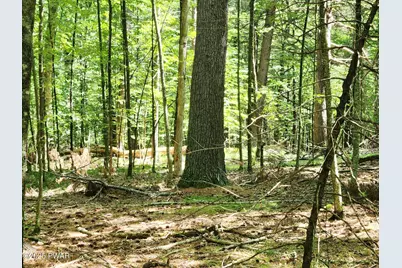 Lot 46 - Creek Lane, Dingmans Ferry, PA 18328 - Photo 5
