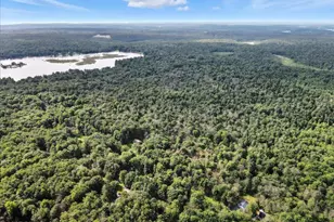 1073 West Side Dr, Newfoundland, PA 18445 - Photo 67