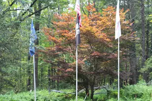 145 Daffodil Dr, Newfoundland, PA 18445 - Photo 59