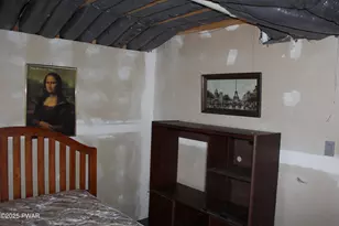 145 Daffodil Dr, Newfoundland, PA 18445 - Photo 51