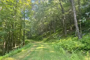 4382 River Rd, Equinunk, PA 18417 - Photo 41