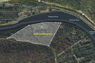 4382 River Rd, Equinunk, PA 18417 - Photo 9