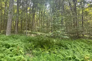 4382 River Rd, Equinunk, PA 18417 - Photo 43