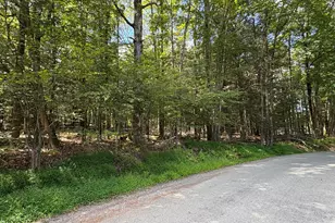 Wallenpaupack Dr, Greentown, PA 18426 - Photo 1